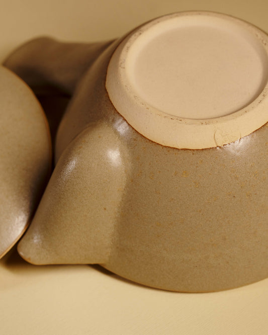 Handmade Japanese Tea pot